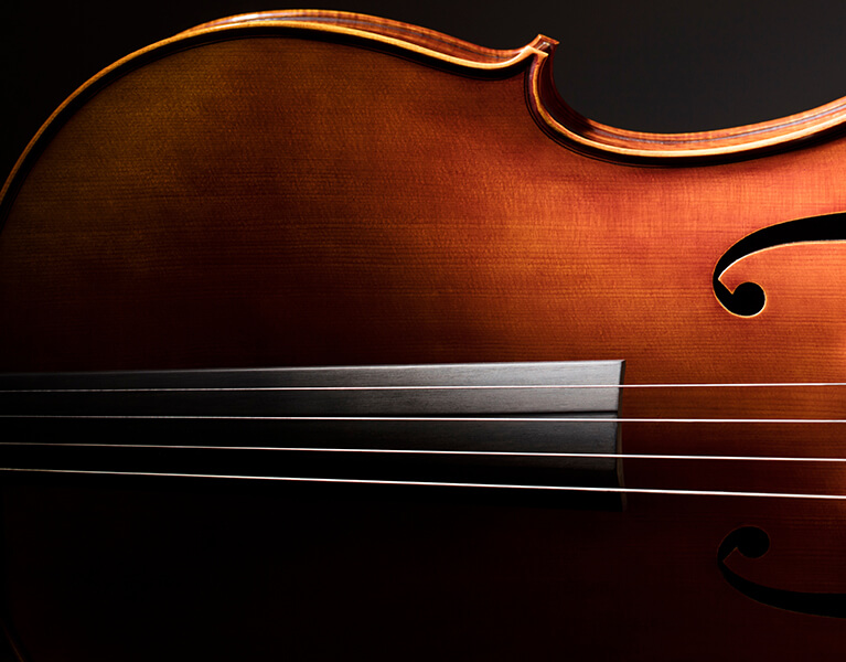 Paganini Student Violin Rosin Large